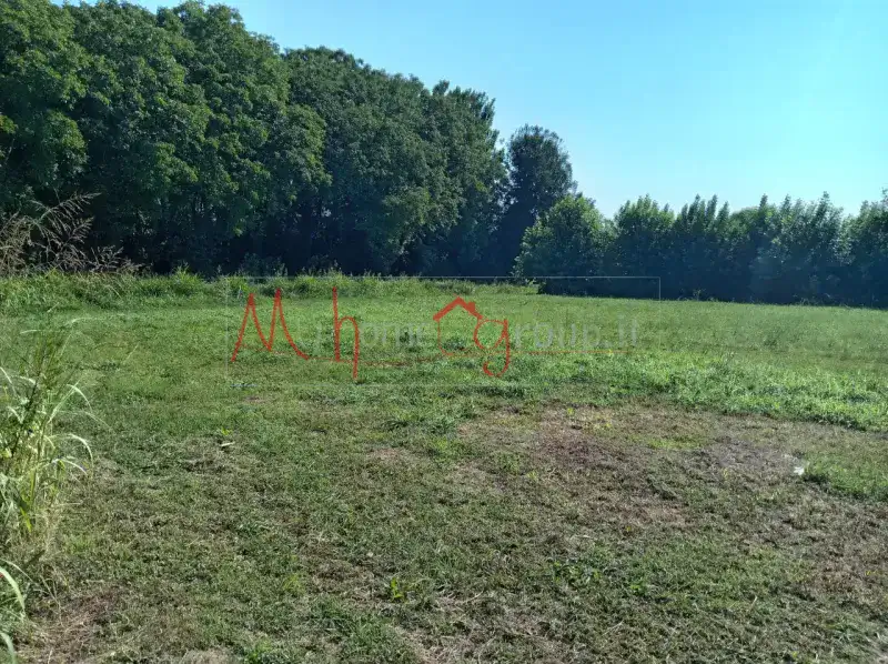 TERRENO AGRICOLO